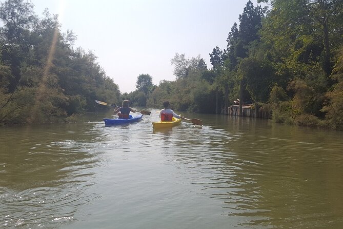 Private Kayak Tour in the Venetian Lagoon - Price and Value: The €48 Ticket vs the Extra Fees