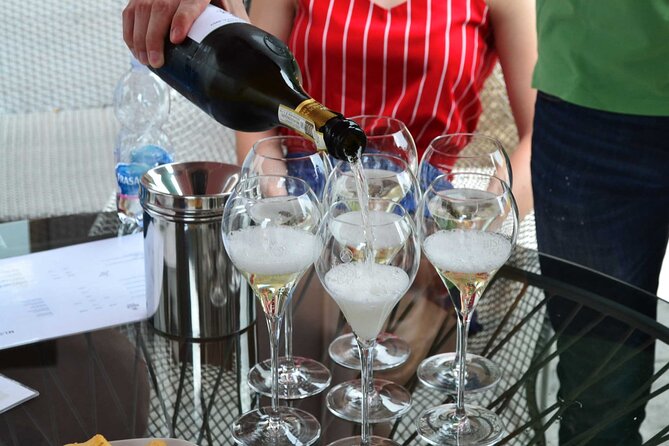 Private Tour: Prosecco Wine Tasting Day Trip with Lunch from Venice - Key Highlights You’ll Actually Care About