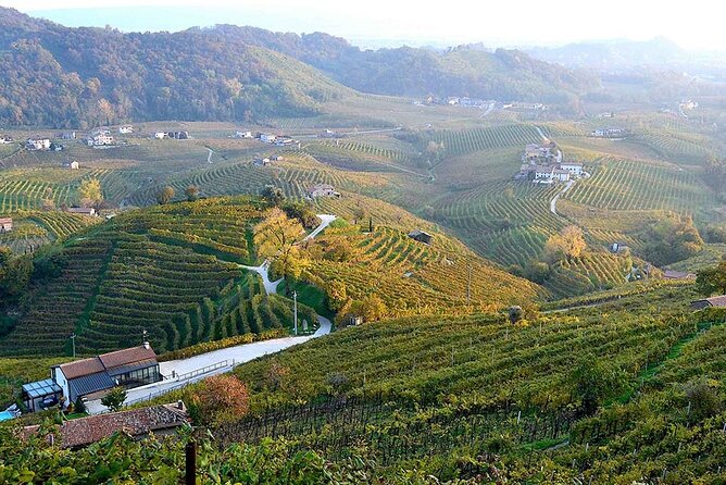 Private Tour: Prosecco Wine Tasting Day Trip with Lunch from Venice - The Included 2-Course Lunch: Real Veneto Food, Not Just Fuel