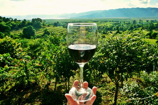 Private Valpolicella Day Trip from Venice: Wine Tasting and Verona - Price and Value: What You’re Paying For