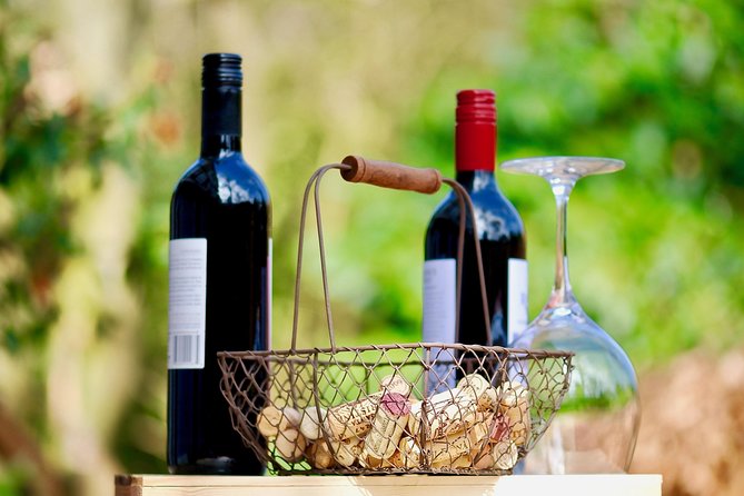 Private Valpolicella Day Trip from Venice: Wine Tasting and Verona - Best Fit: Who Should Book This Day Trip