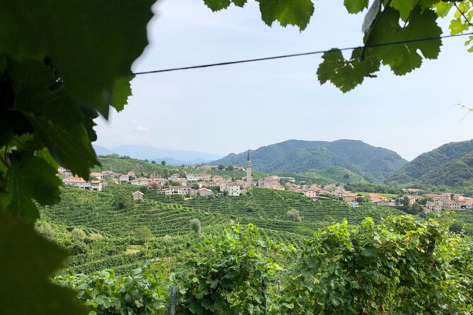 Prosecco Hills Wine and Cheese Gourmet Discovery - What You’ll Taste: 8 Sparkling Prosecco Tastings Done in a Real Sequence