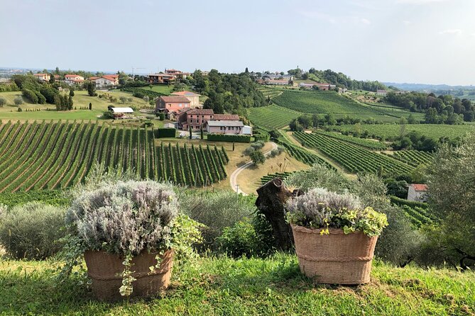 Prosecco Hills Wine and Cheese Gourmet Discovery - Price and Value: Why $165.61 Can Make Sense for This Day Trip