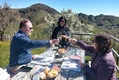 Prosecco Wine Tasting and visit Treviso from Venice - What you actually learn when you taste four Proseccos