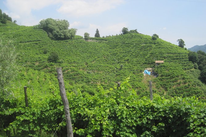 Prosecco Wine Tour (all-inclusive full day with lunch and expert wine guide) - Getting out of Venice and into Prosecco country