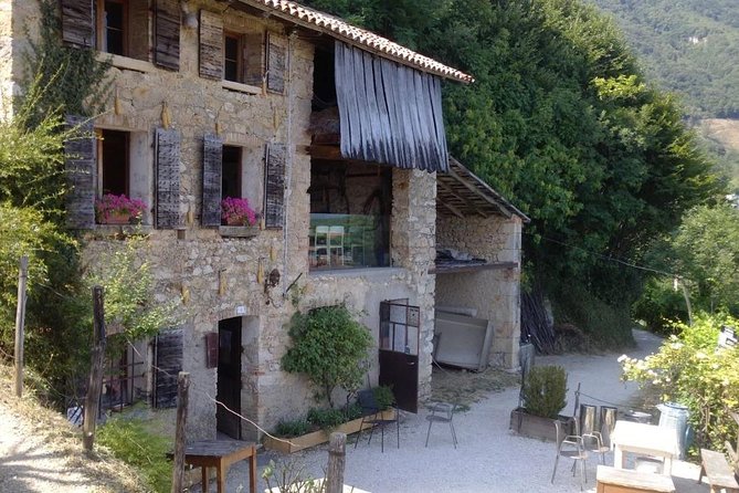 Prosecco Wine Tour. Full day from Venice - Two Wineries and Vineyards: Tastings With Actual Production Context