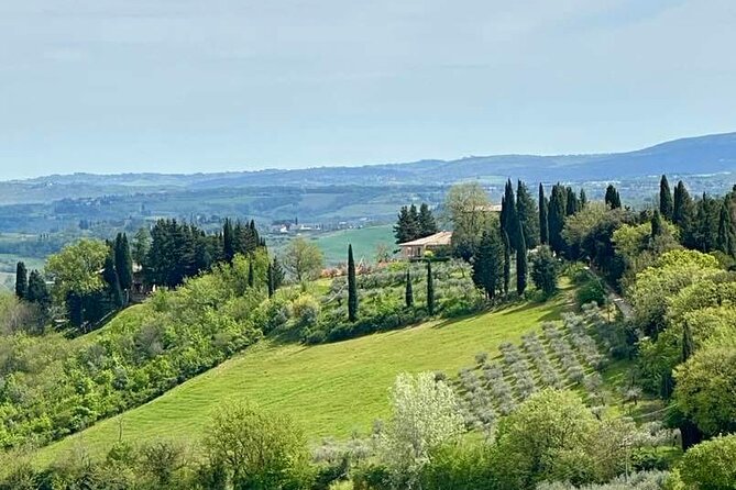 Prosecco Wine Tour. Full day from Venice - Lunch, Snacks, and That Second Aftertaste Problem