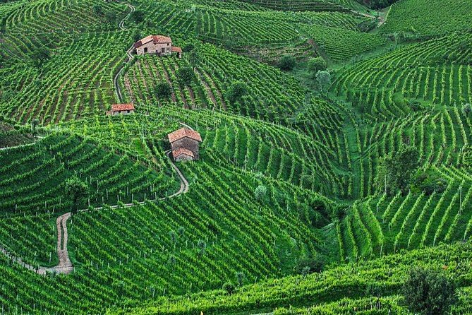 Prosecco Wine Tour. Full day from Venice - Who This Prosecco Day Trip Fits Best