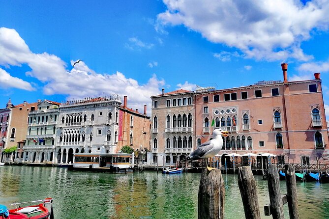 Rialto Market & Seafood Cooking Class in Murano - Price and value: what $342.07 buys you in practice