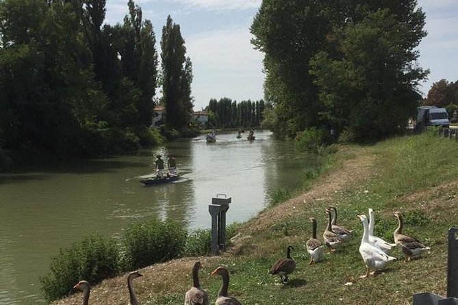 Riviera del Brenta Bike Tour - Stop 2: Villa Widmann Rezzonico Foscari, museum rooms plus garden and chapel