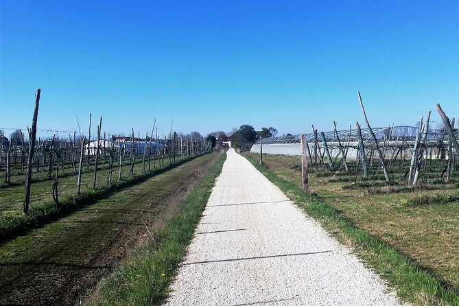 Sant’Erasmo Bike Tour in Venice’s Green Island - Bike setup and the start on countryside roads