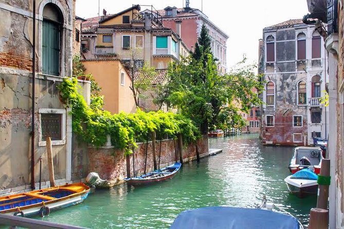 Tasty Street Food Tour of Venice City Center with Cicchetti & Local Specialties - Price and value: is $57.67 actually fair?