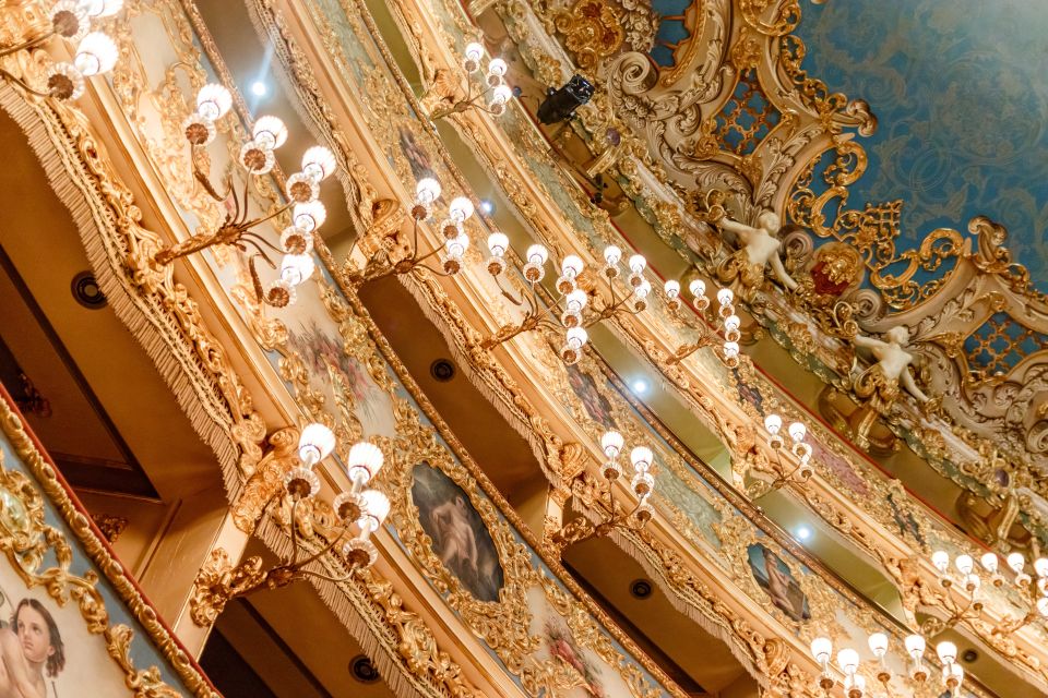 The Majestic Teatro La Fenice: Guided Tour in Venice - Who This Tour Is For (and Who Should Skip It)