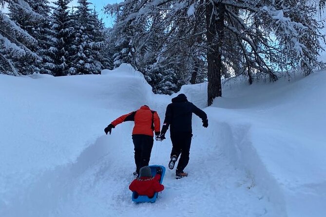 UNESCO Dolomites great expedition from Venice by Yellowboot - Dolomiti del Veneto Town Time: Wander, Shop, and Snack