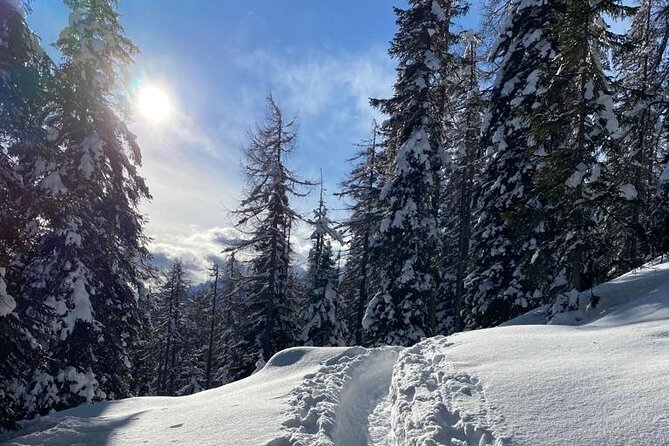 UNESCO Dolomites great expedition from Venice by Yellowboot - How the Guided-Then-Free Format Works for Real People