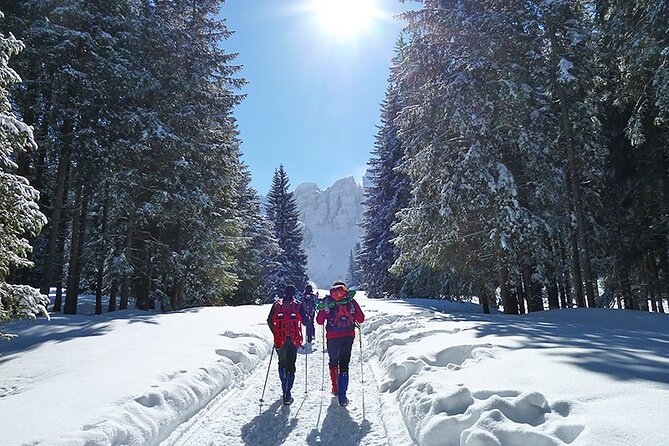 UNESCO Dolomites great expedition from Venice by Yellowboot - Getting Out Early: Venice Santa Lucia to Conegliano