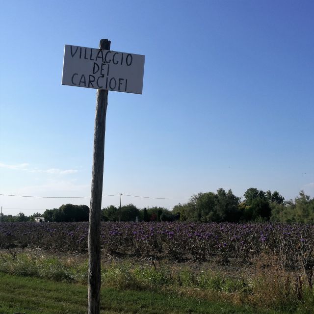 Venice: Bike Tour Honey & artichockes on Sant’Erasmo Island - Practical tips to make your ride easier