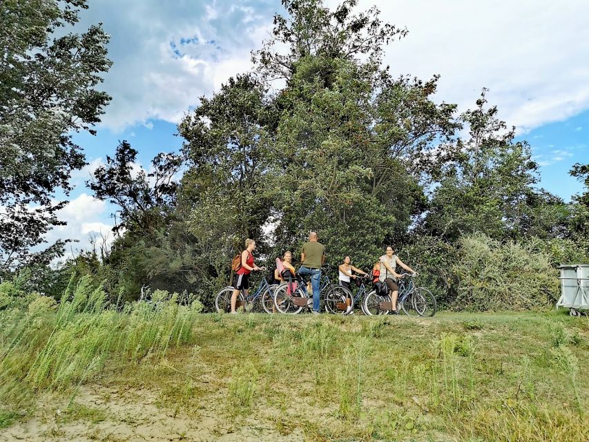 Venice: Bike Tour Honey & artichockes on Sant’Erasmo Island - Honey farm visit: saltmarsh honey and a tasting you’ll remember