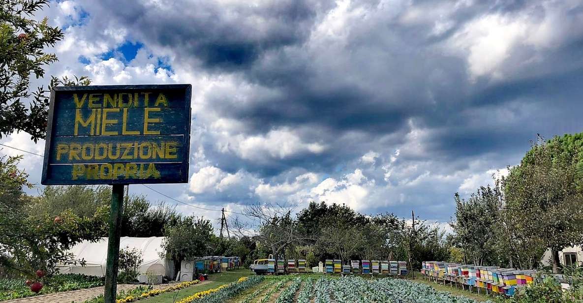 Venice: Bike Tour Honey & artichockes on Sant’Erasmo Island - Fondamente Nove meeting point and the water bus to Sant’Erasmo