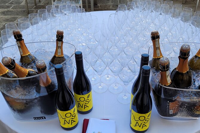 Venice like a local: Vini and Cichetti at Liuba and Hugo's home - Timing and getting there: 6:00pm, mobile ticket, and the stairs reality check
