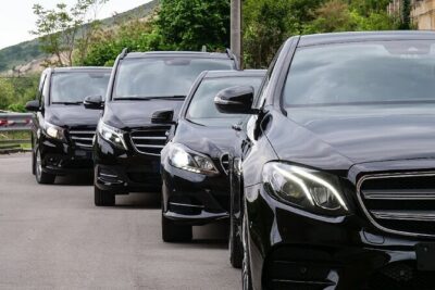 Venice Private Transfer to Ravenna Porto Corsini Cruise Terminal - Meet-and-Greet With a Name Sign: The Fastest Way to Find Your Ride