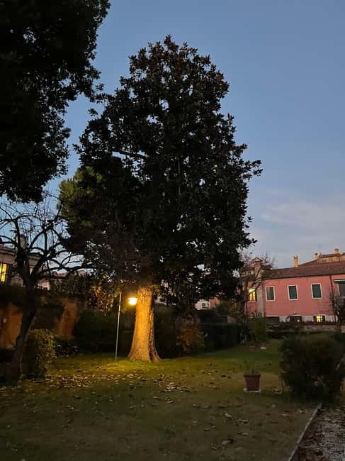 Venice: Sunrise Walking Tour with Espresso - The Mercerie: the short stretch that teaches you Venice