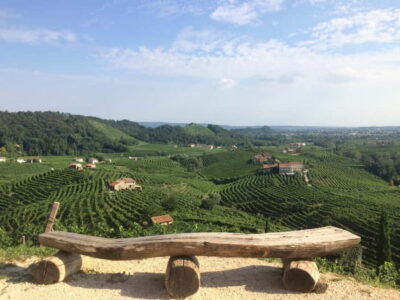 Venice: wine tour tasting along the Unesco Prosecco hills - Meeting at Piazzale Roma (and the one transport detail that matters)